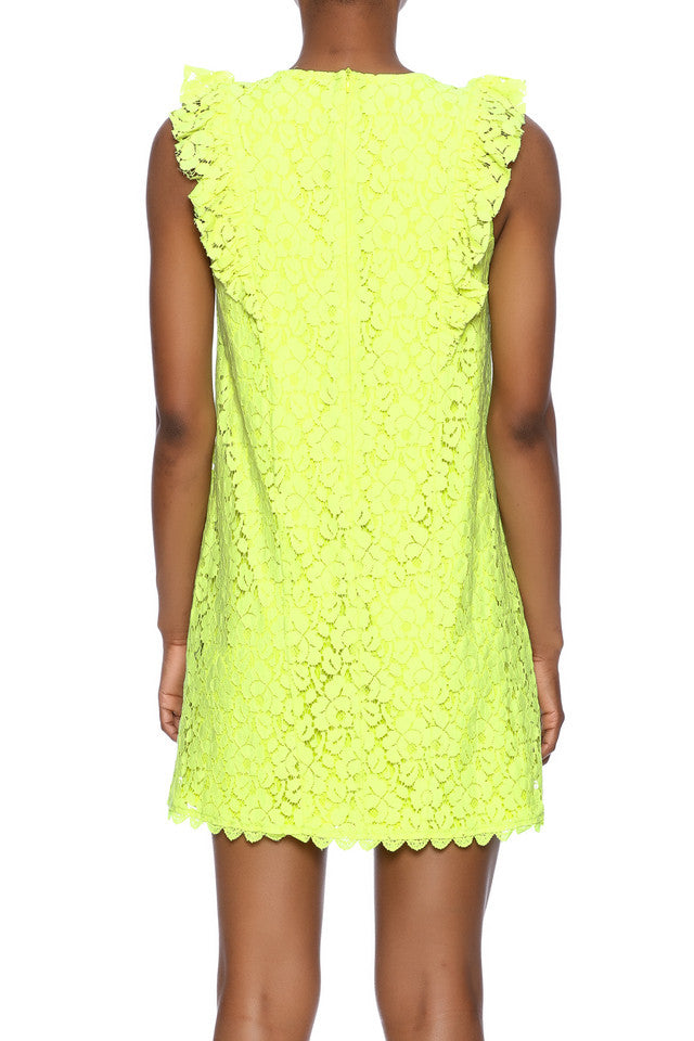 Lace Overlay Dress